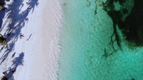 Mar Caribe Drone Inglés Imágenes Alta Calidad — Vídeos de Stock