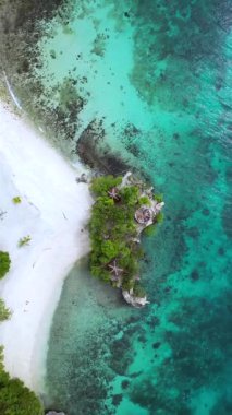 Salagdoong Sahili. Siquijor Adası. Filipinler dronu. Dikey video. Yüksek kaliteli görüntüler