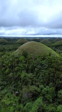 Çikolata tepeleri Bohol. Filipinler. İHA