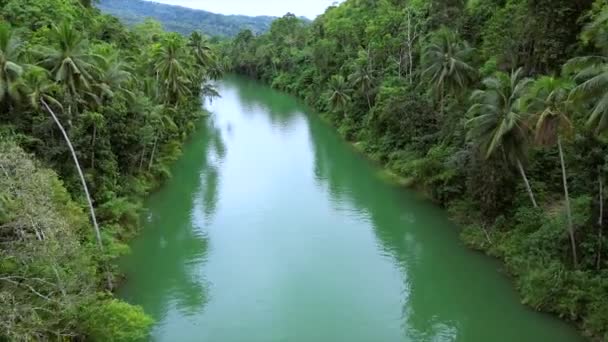 Loboc Rivier Bohol Filippijnen Een Drone Hoge Kwaliteit Beeldmateriaal — Stockvideo