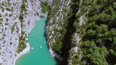 Ormandaki nehir havadan görünümü