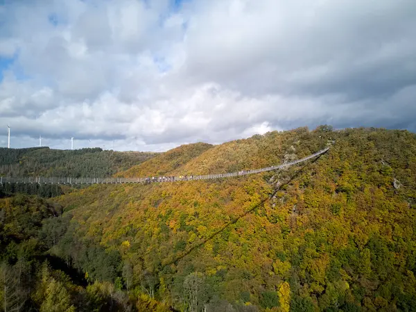 Hangeseilbrucke Geierlay . Gernamy . Drone. Yüksek kalite fotoğraf