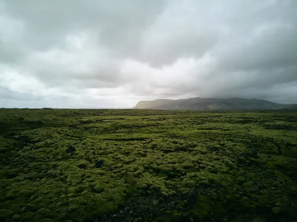 Volcanic Green Moss Lava Field Black Mountain High Quality Photo — Stock Photo, Image