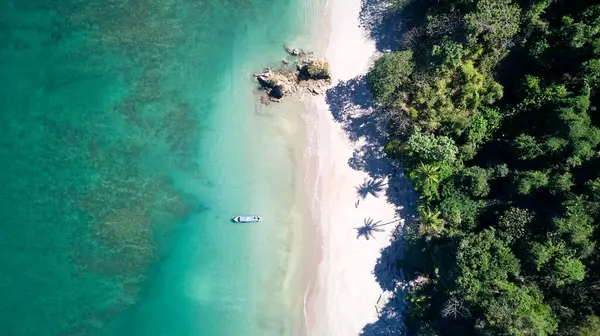 Tortuga Kosta Rika adasında İHA saldırısı. Yüksek kalite fotoğraf