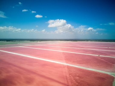 Las Coloradas Pink lake , Mexico . Drone. High quality photo clipart