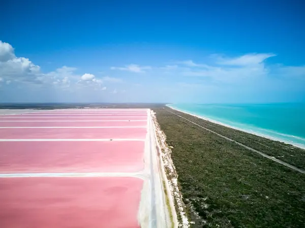 Las Coloradas Pembe Gölü, Meksika. Drone. Yüksek kalite fotoğraf