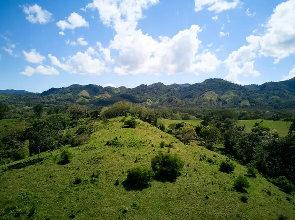 Meksika Tropik Dağ Manzarası Yeşil Orman Tepeleri Palenque yakınlarında. Drone. Yüksek kalite fotoğraf