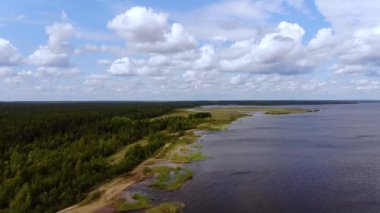 Yaz günü ormanlar, tarlalar ve çayırlar ve Letonya 'nın insansız hava aracı manzarası.