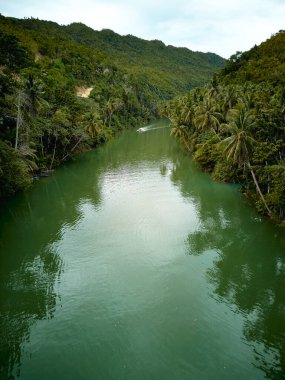 Loboc Nehri Bohol. Filipinler. Drone. Yüksek kalite fotoğraf