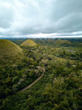 Çikolata tepeleri Bohol. Filipinler. Dronlar. Yüksek kalite fotoğraf