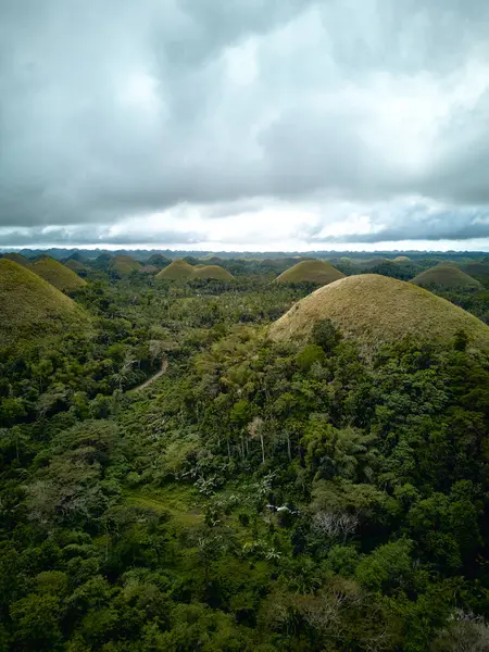 Çikolata tepeleri Bohol. Filipinler. Dronlar. Yüksek kalite fotoğraf