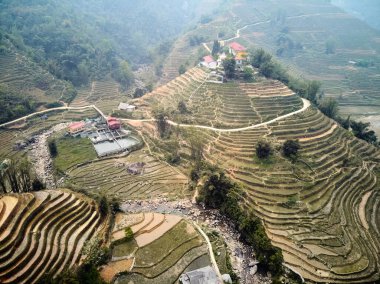 Pirinç tarlaları Sapa Vietnam, İHA 'dan ateş ediyor. Yüksek kalite fotoğraf