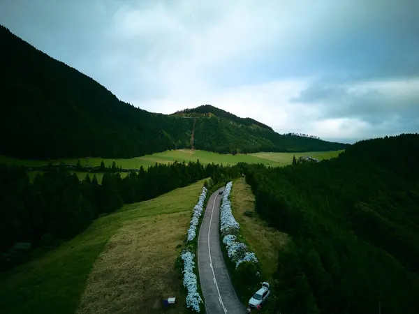 Çiçek yolu Sao Miguel Azores Portekiz İHA 'sı 