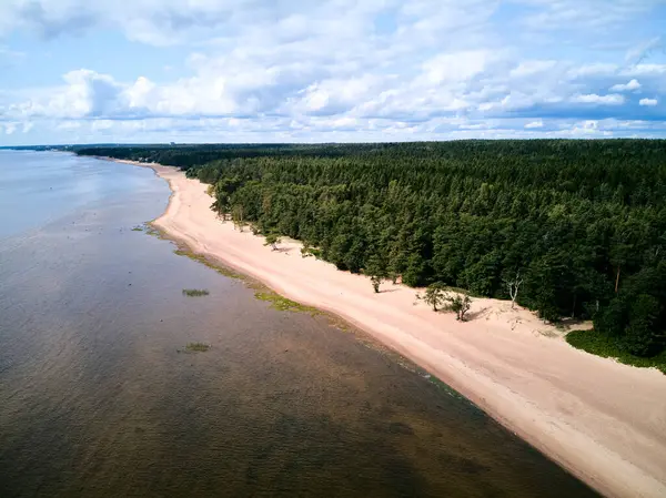 Rusya, Ladoga Gölü, soğuk bir göldeki adanın manzarası. Yüksek kalite fotoğraf