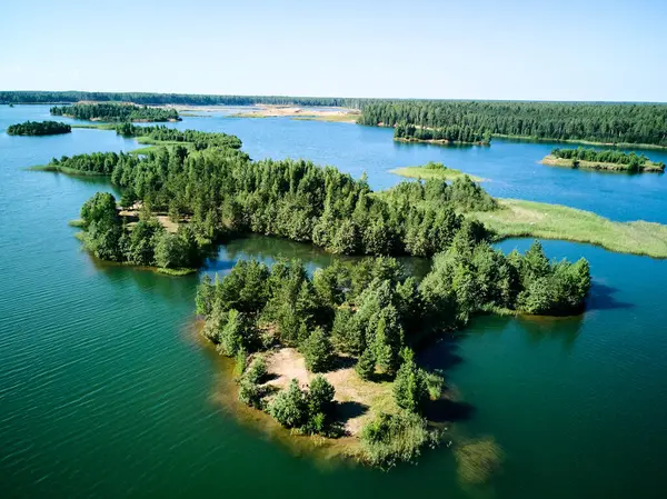 Slavyanka Gölü. Leningrad Bölgesi. - Rusya. Drone. Yüksek kalite fotoğraf