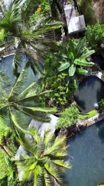 Wisata Kolam Alam Tetebatu. Lombok Endonezya Drone 'u. Yüksek kalite 4k görüntü