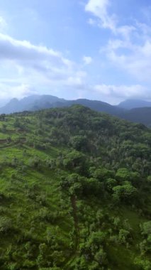 Sumberkima tepesi, Bali, Endonezya, insansız hava aracı. Yüksek kalite 4k görüntü