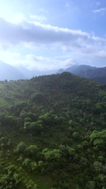 Sumberkima tepesi, Bali, Endonezya, insansız hava aracı. Yüksek kalite 4k görüntü