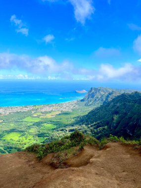 Hawaii, Oahu 'da Patika Zirvesi