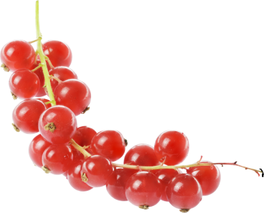 frenk üzümü meyveleri izole