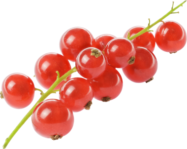 frenk üzümü meyveleri izole