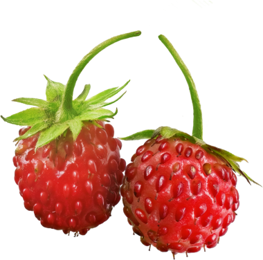 Atıştırmalık meyveler için izole kırmızı çilek