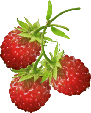 Atıştırmalık meyveler için izole kırmızı çilek