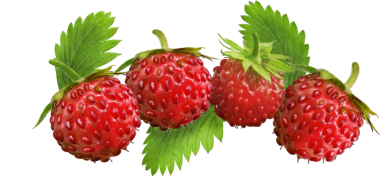 Atıştırmalık meyveler için izole kırmızı çilek