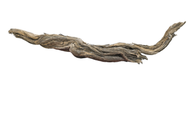 Ormandan bir parça odun.