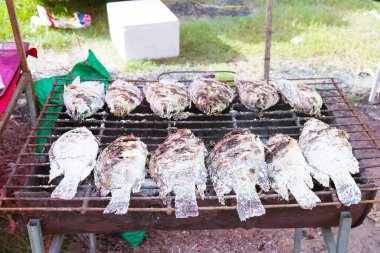 Fırının üzerinde iki sıra halinde ızgara balık. Sokak yemeği satmak için bekliyor.