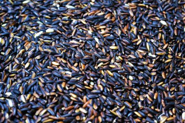 Esmer pirinç, pişmemiş siyah glutinous pilavı