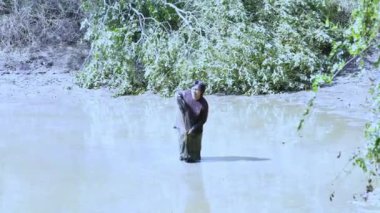 Asyalı bir adam kuru bir gölette balık bulmak için ağ atıyor..