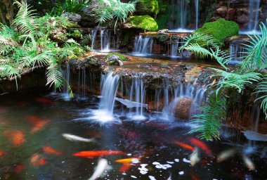 Bahçede küçük balık havuzlu bir şelale.