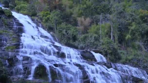 チェンマイで最大かつ最も美しい滝はメイヤーウォーターファルと呼ばれています — ストック動画