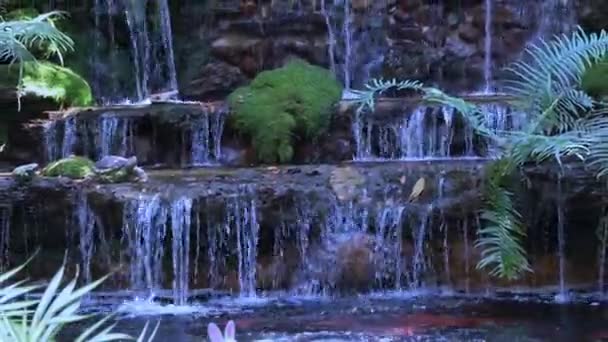 Kleiner Wasserfall Park — Stockvideo