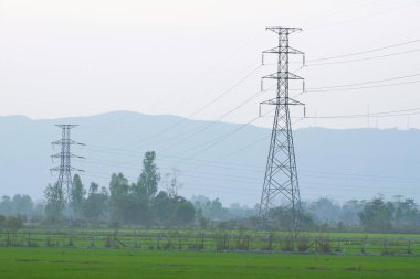 Yüksek voltajlı bir elektrik direği pirinç tarlasının ortasında duruyor. Arkası güzel bir dağ manzarası..