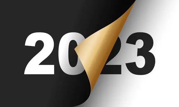 Felice Anno Nuovo 2024 Modello Carta Auguri Vacanze Invernali Fine — Vettoriale Stock