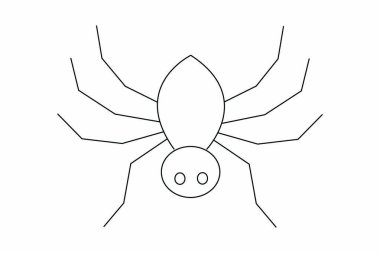 linear of Spider isolated on white background. Vector illustration.