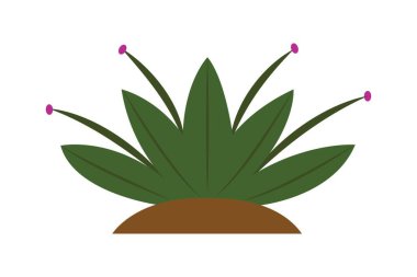 bitki simgesi vektör illüstrasyonu