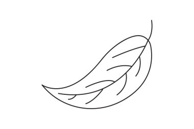 Yaprak ikonu vektör illüstrasyonu