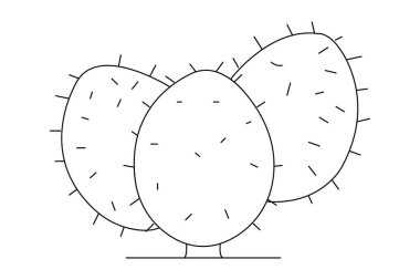 hand drawn cactus isolated on white background. vector illustration