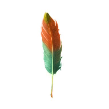 beautiful colorful feather, aquarelle, isolated on white backgroun