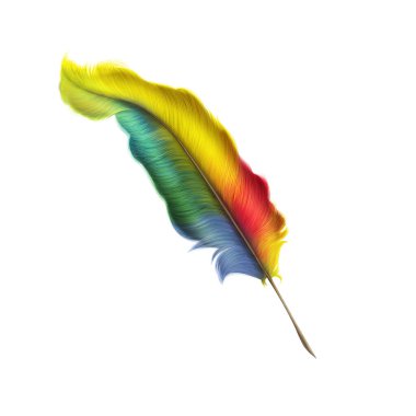 Beyaz arkaplanda tüy izole edildi