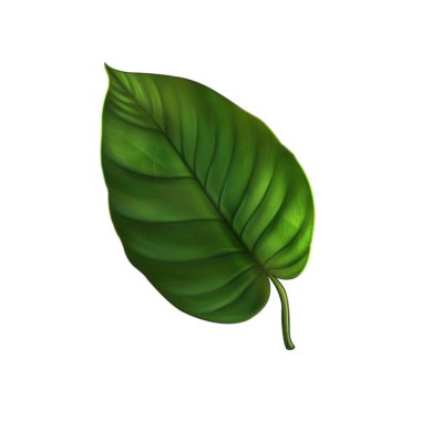 green leaf isolated on white background. flat design.