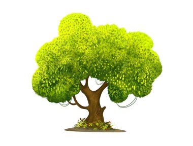 tree with leaves illustration isolated on white background.