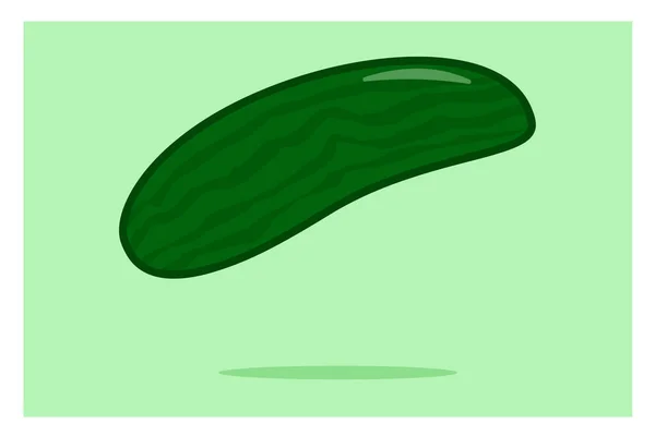Vector Illustration Cucumber Isolated — Stock Vector