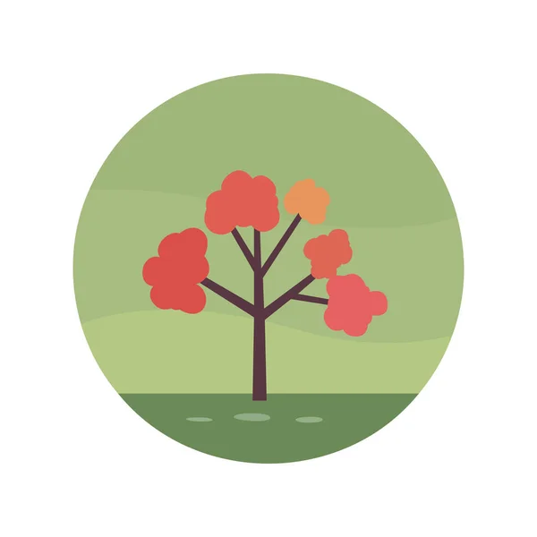Пейзаж Круговой Дизайн Ветвями Деревьев Красочные Листья Изолированы Белом Фоне — стоковый вектор