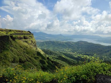 Görüntü, yoğun bir bitki örtüsüyle kaplanmış ve kır çiçekleriyle kaplı kayalık bir arazinin inanılmaz bir görüntüsünü yakalıyor. Hepsi bulutlarla dolu bir gökyüzüne bakıyor..