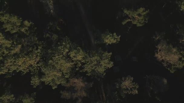Воздушный Наклон Беспилотника Деревьев Природы Имеющие Северу Португалии Югу Галисии — стоковое видео