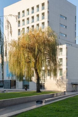 Xunta de Galicia Building ve Nutico Vigo Vigo Manzaralı Galiçya, İspanya 'da Ağaç Manzarası